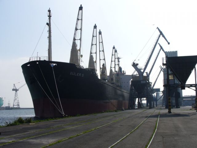 Guler S 3.JPG